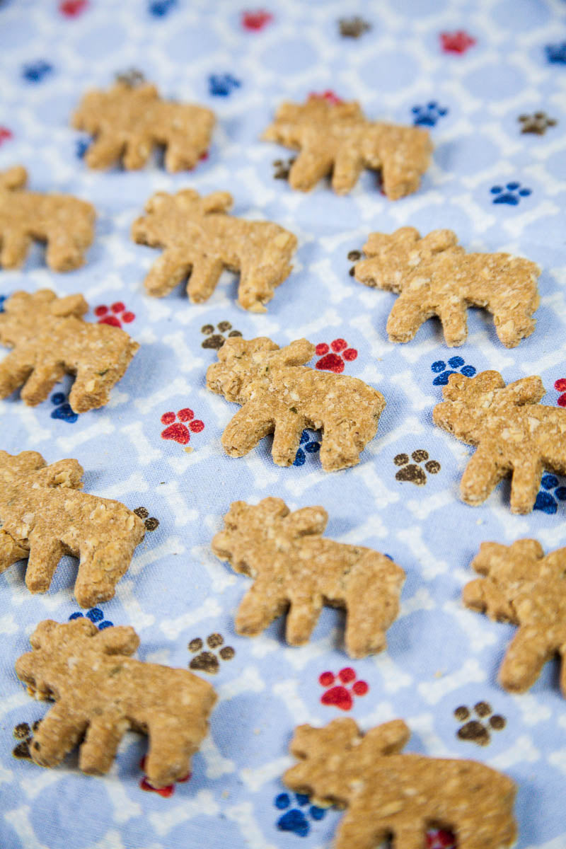 Moose Trail Munchies