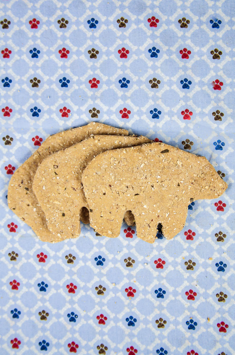 Bacon Bear Bites